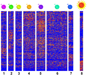A heat map showing single-cell RNA sequencing data.